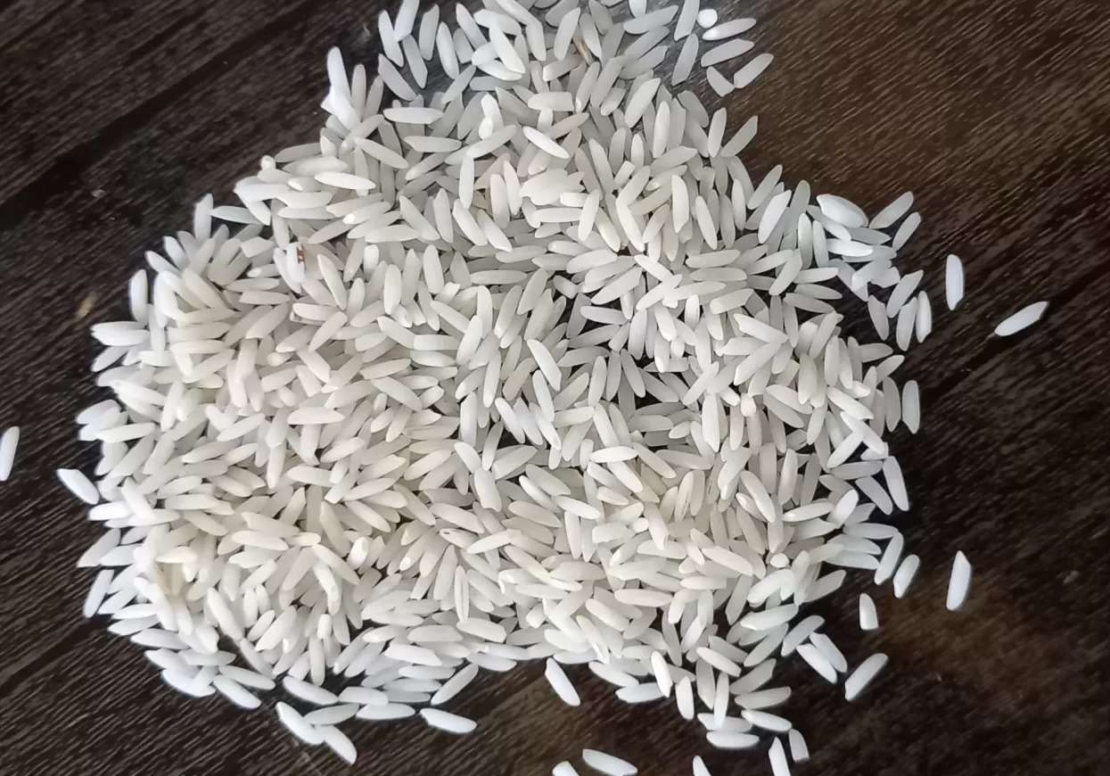 برنج طارم هاشمی از محصولات مزارع شمال کشور و مازندران است.